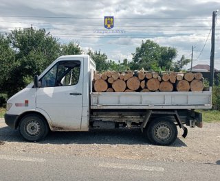 Delicte silvice, oprite de polițiști